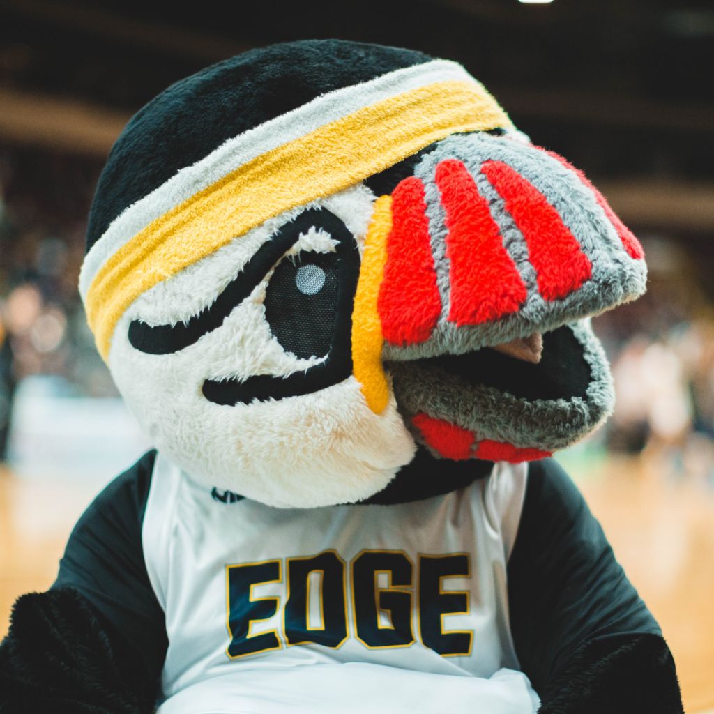 A puffin mascot out on the court. Having Mascot Mondays could be part of your social media marketing strategies!