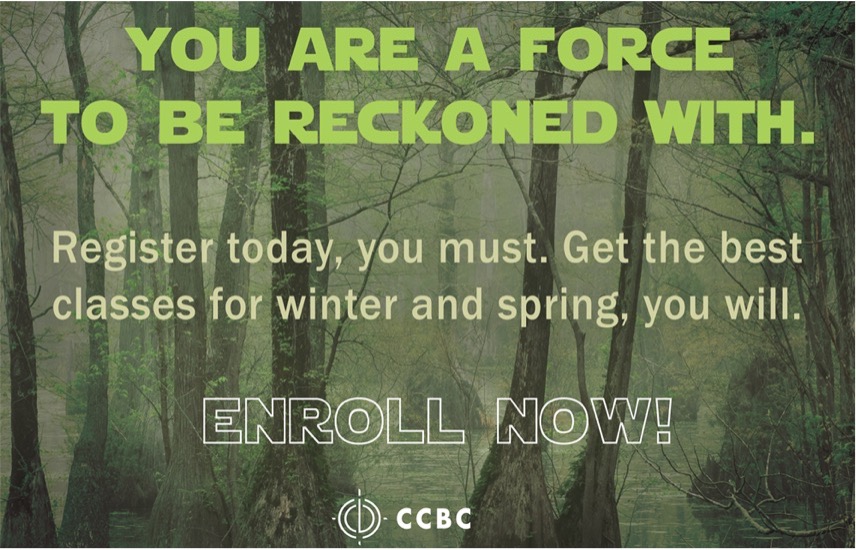 A Star Wars themed message reads, "You are a force to be reckoned with. Register today, you must. Get the best classes for winter and spring, you will." Having fun with pop culture in your messages is a great way to bolster retention in education.