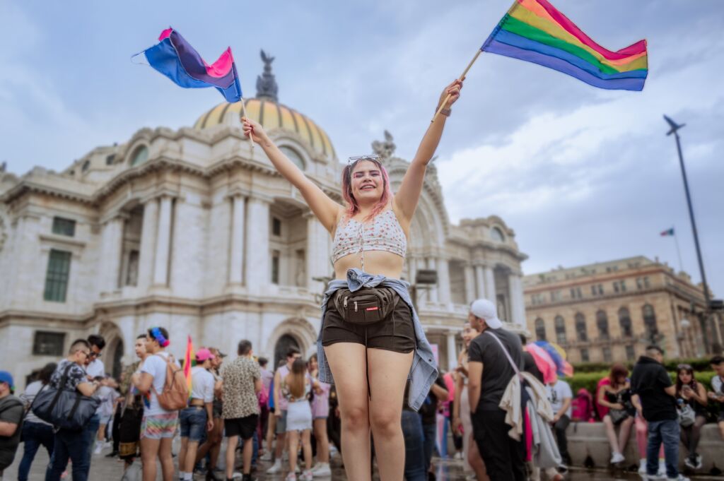 A young person waves Pride flags. Before we find out What's LGBTQ?, we need to understand some basic terms. Then it makes more sense to figure out lgbtq meaning.